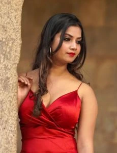 call girl service in Dhrangadhra